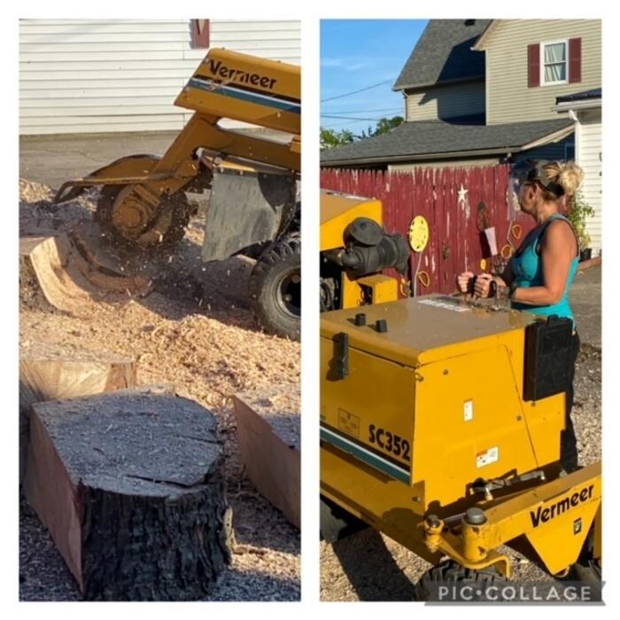 Images Affordable Cleaning Solutions