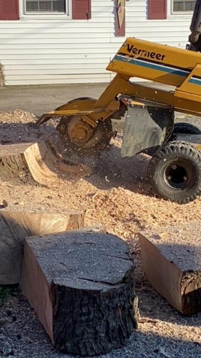 Images Affordable Cleaning Solutions