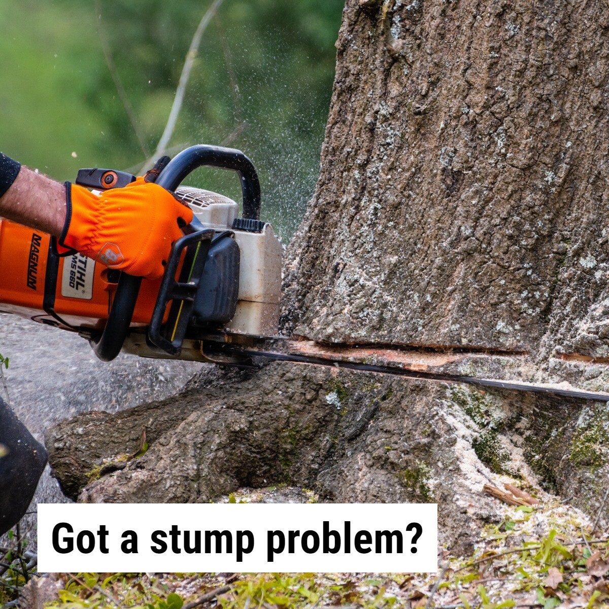 Images Enoch Reynolds Tree Service