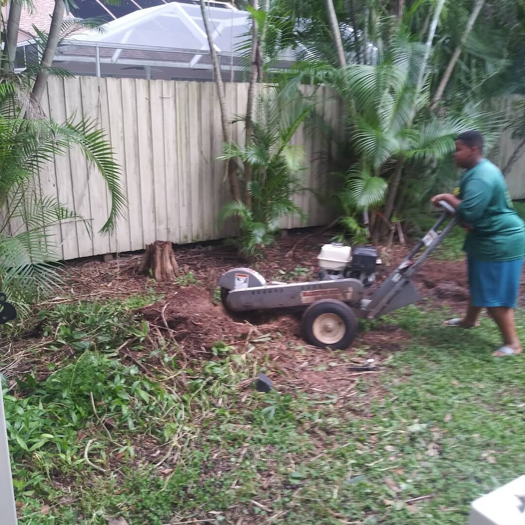 Images Enoch Reynolds Tree Service
