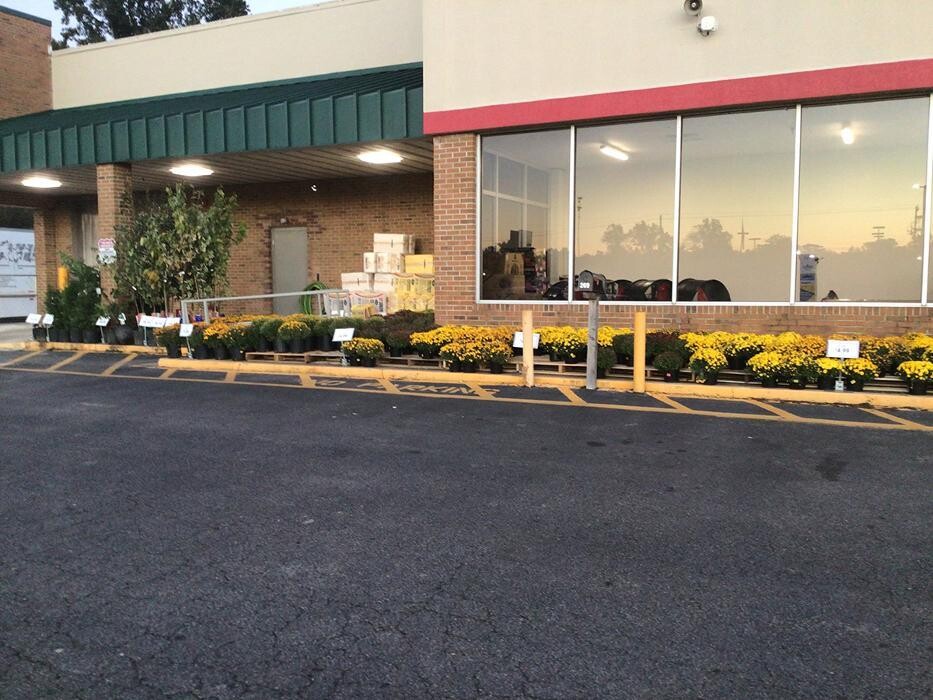 Images Tractor Supply Co.