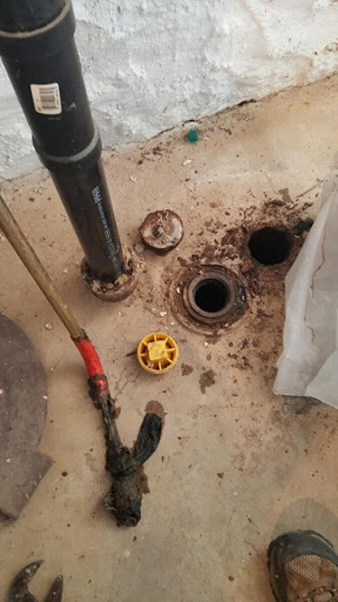 Images AAAce Drain Cleaning