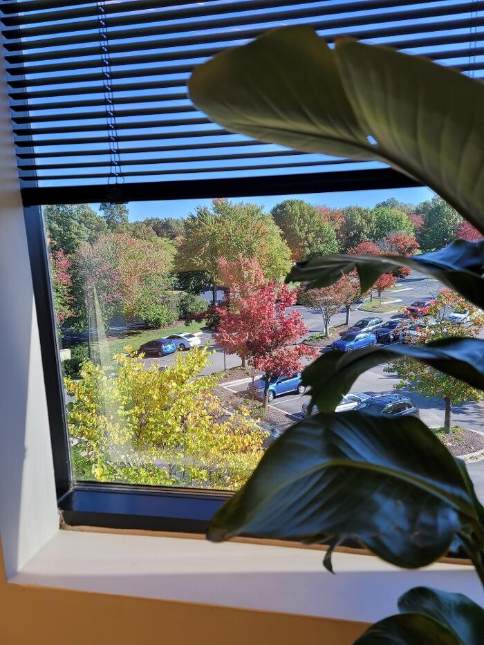 Images Richmond Breathe Free Sinus & Allergy Centers