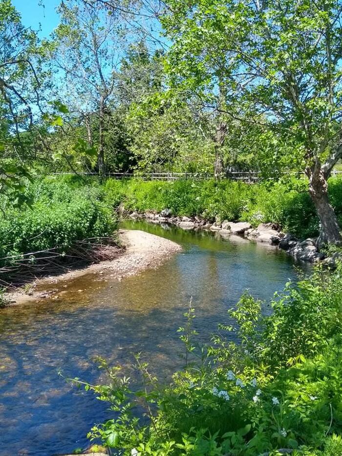 Images Young's at Three Rivers