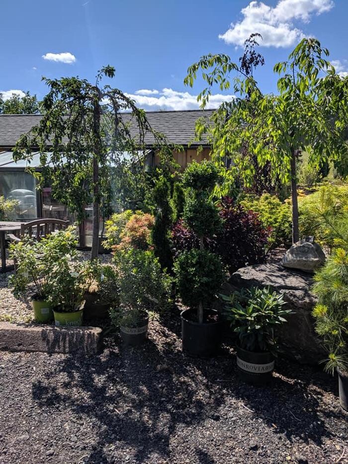 Images Young's at Three Rivers