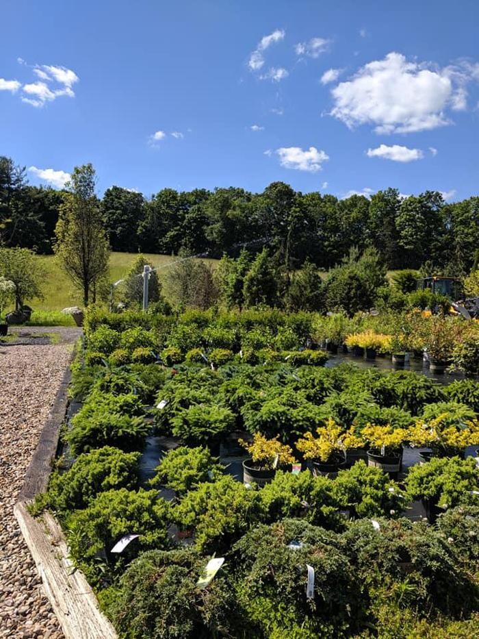 Images Young's at Three Rivers