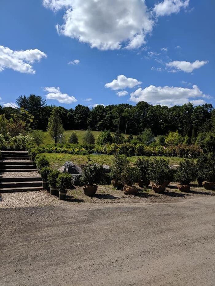 Images Young's at Three Rivers