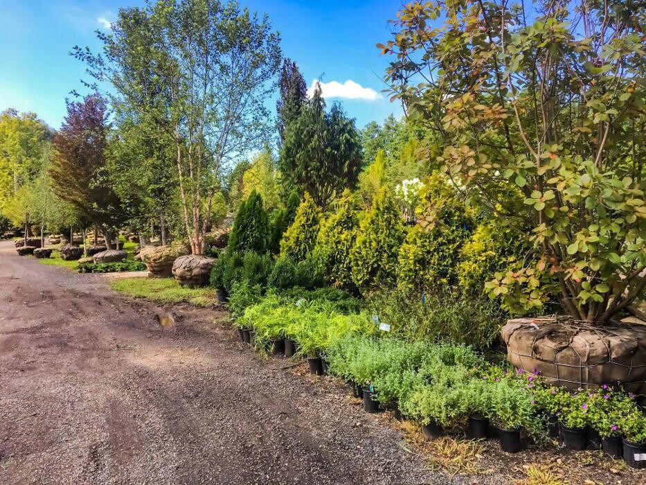 Images Young's at Three Rivers