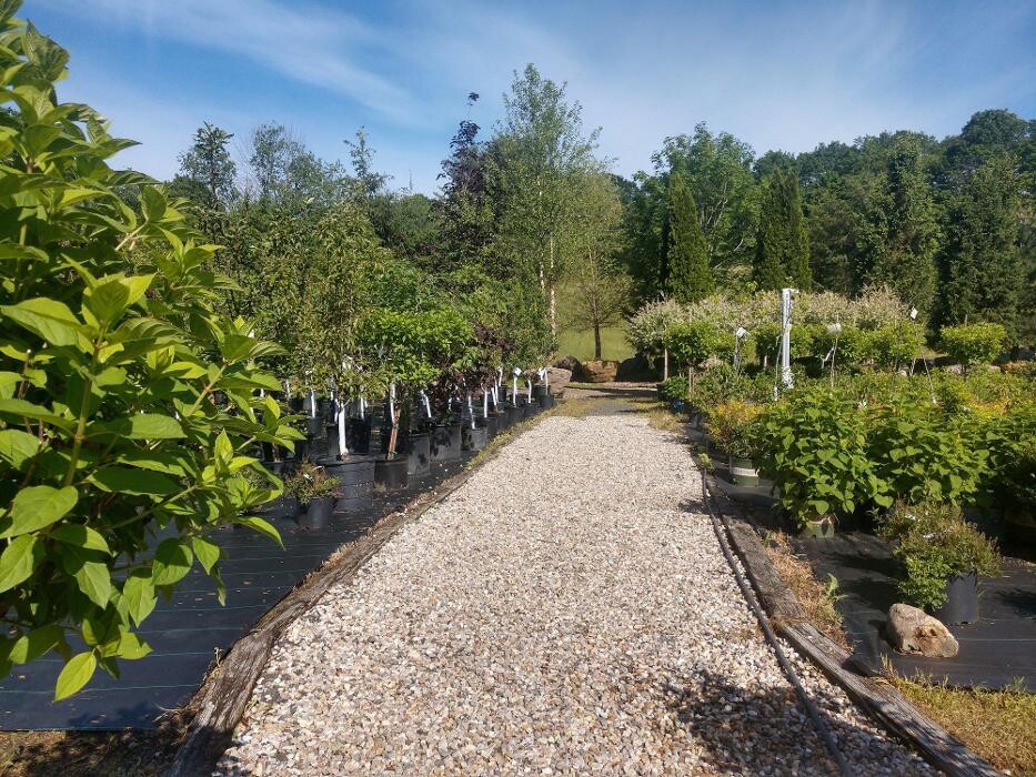 Images Young's at Three Rivers