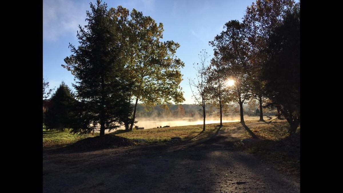 Images Young's at Three Rivers