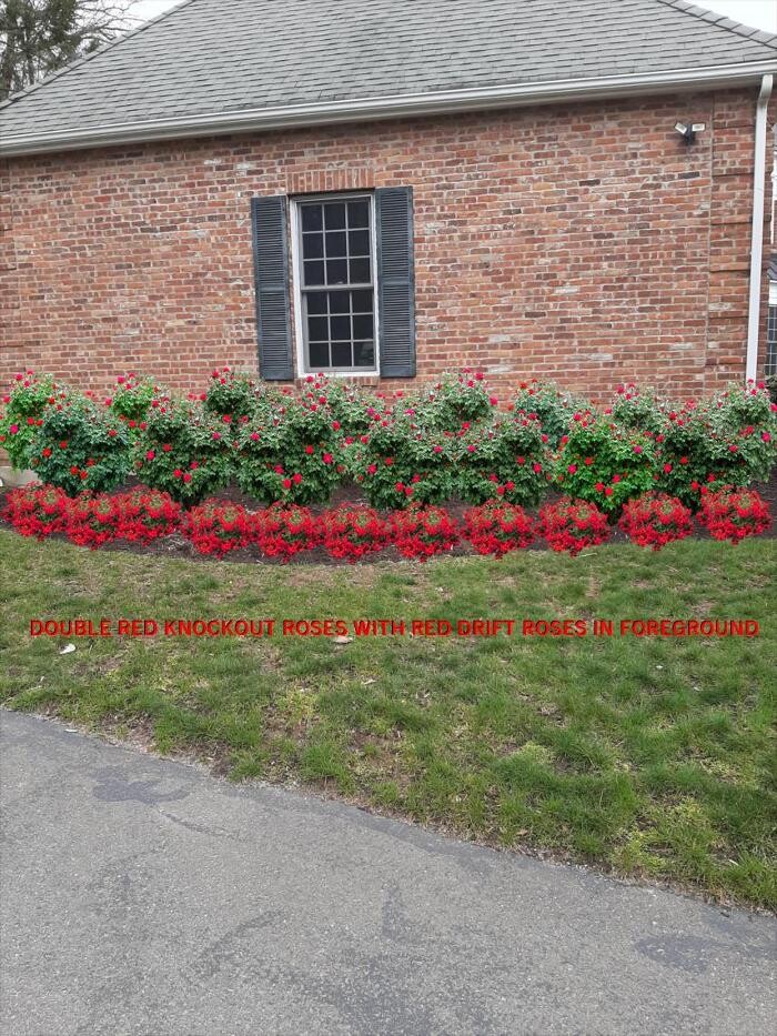 Images Young's at Three Rivers