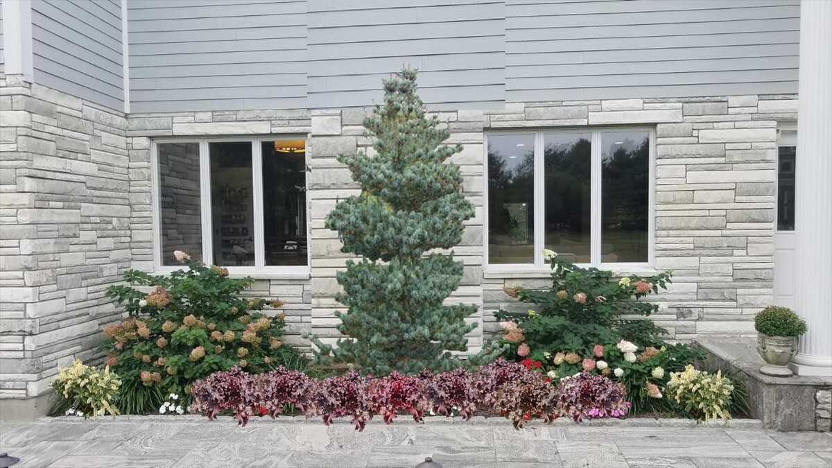 Images Young's at Three Rivers