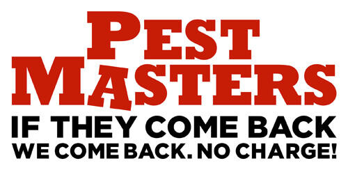 Images Pest Masters