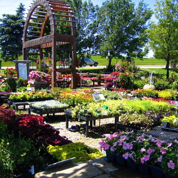 Images Sherwood Forest Garden Center