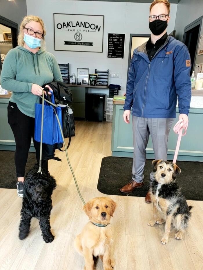 Images Oaklandon Family Vet