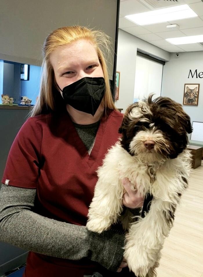 Images Oaklandon Family Vet