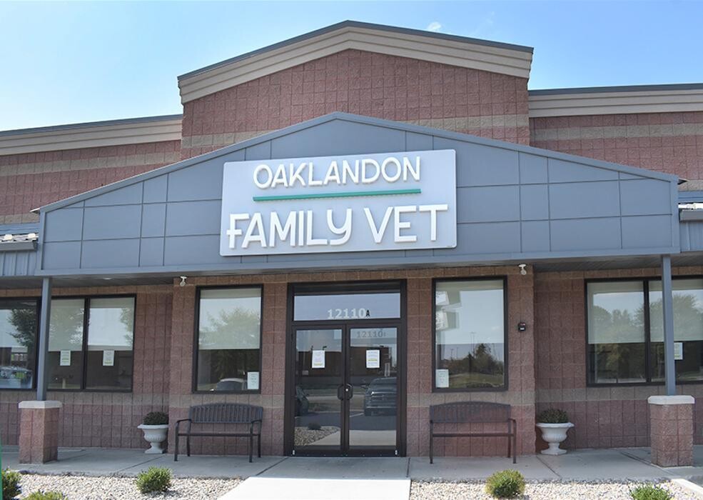 Images Oaklandon Family Vet