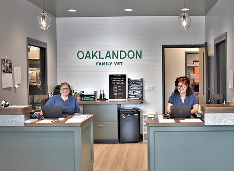 Images Oaklandon Family Vet
