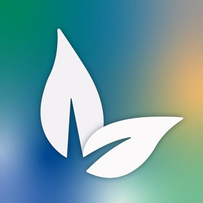VineBrook Homes Memphis Logo