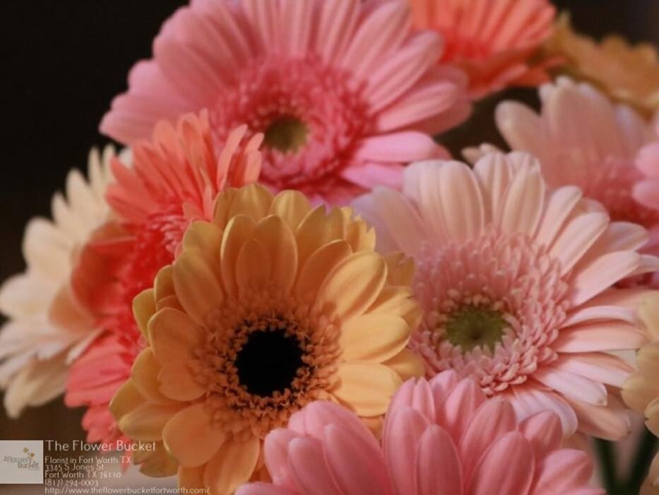 Images The Flower Bucket