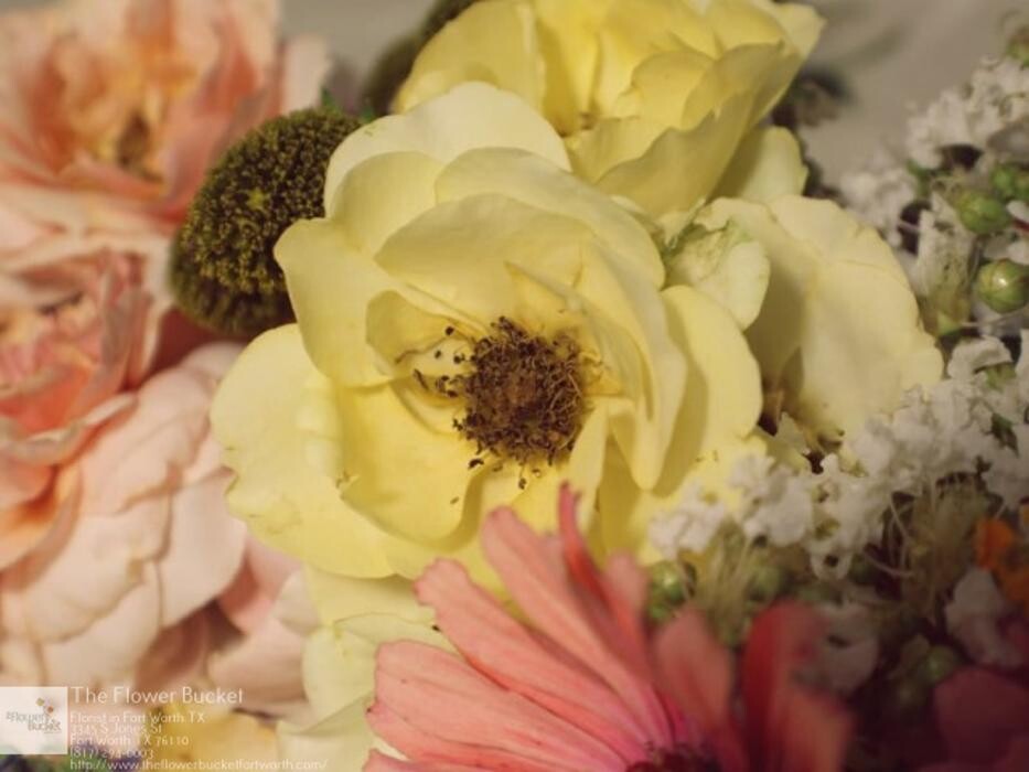 Images The Flower Bucket