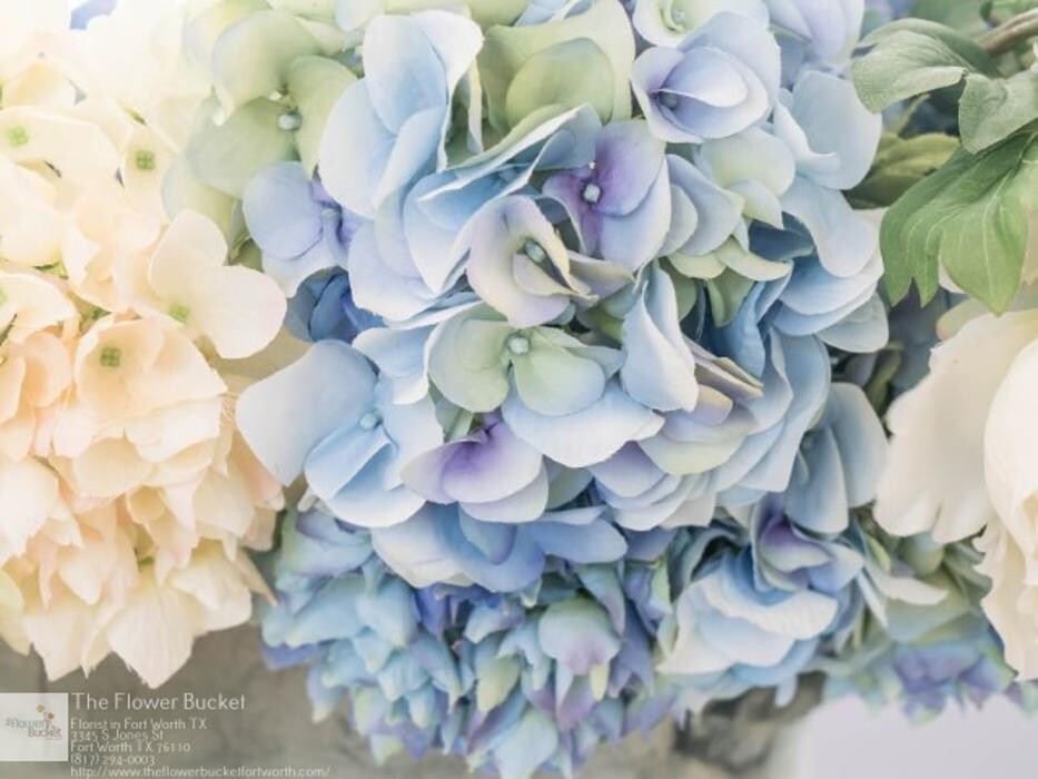 Images The Flower Bucket
