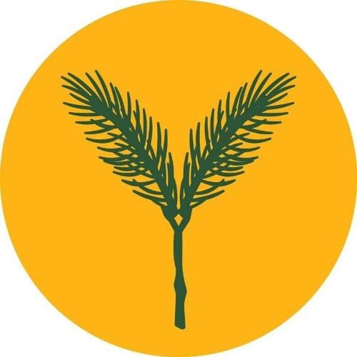 Yellow Spruce Roasters & Wine Bar Logo