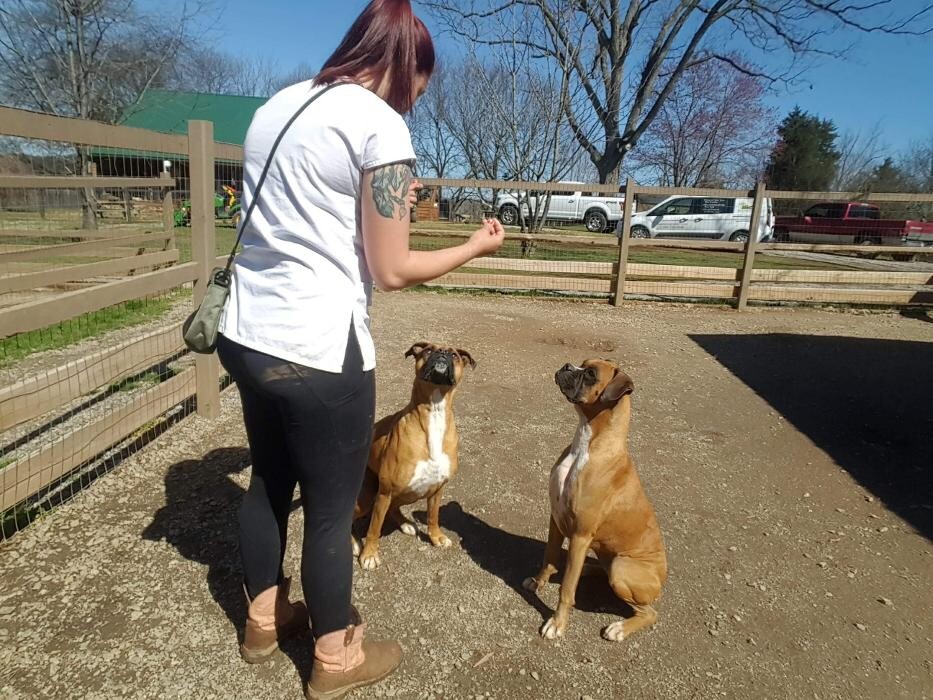 Images Dancing Creek Farm Long Term Dog Boarding