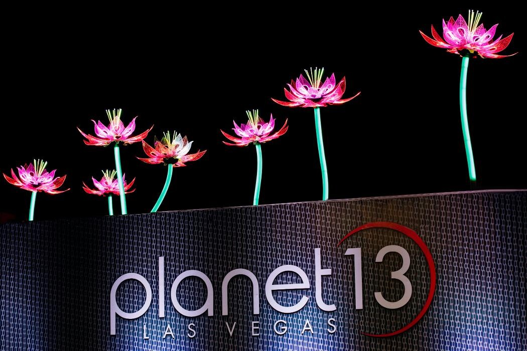 Images Planet 13 Las Vegas