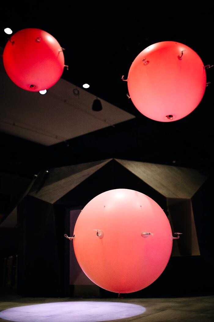 Images Planet 13 Las Vegas