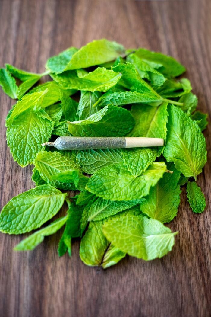 Images Planet 13 Las Vegas