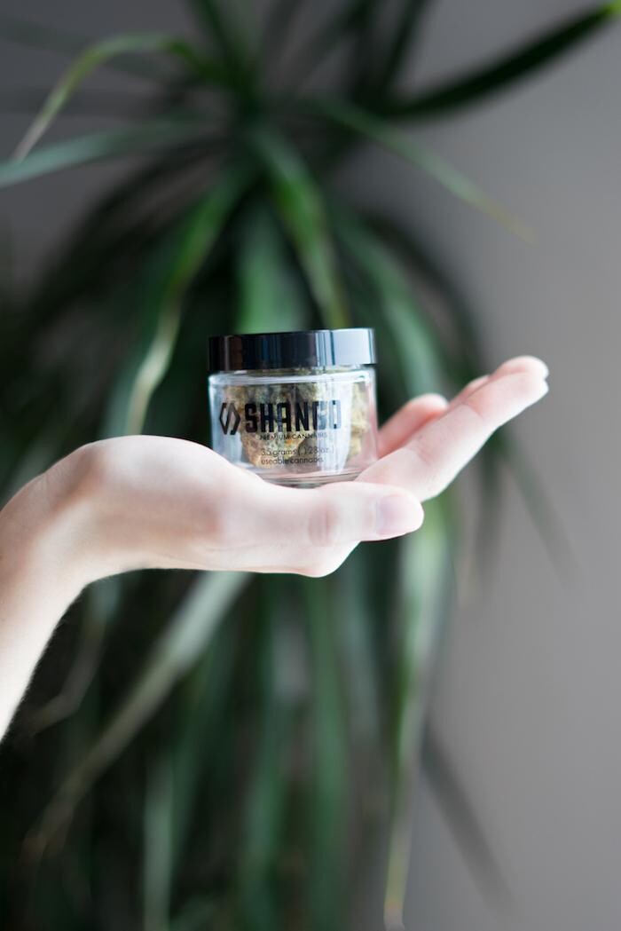 Images Planet 13 Las Vegas