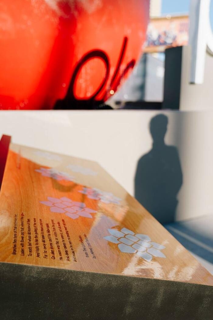 Images Planet 13 Las Vegas