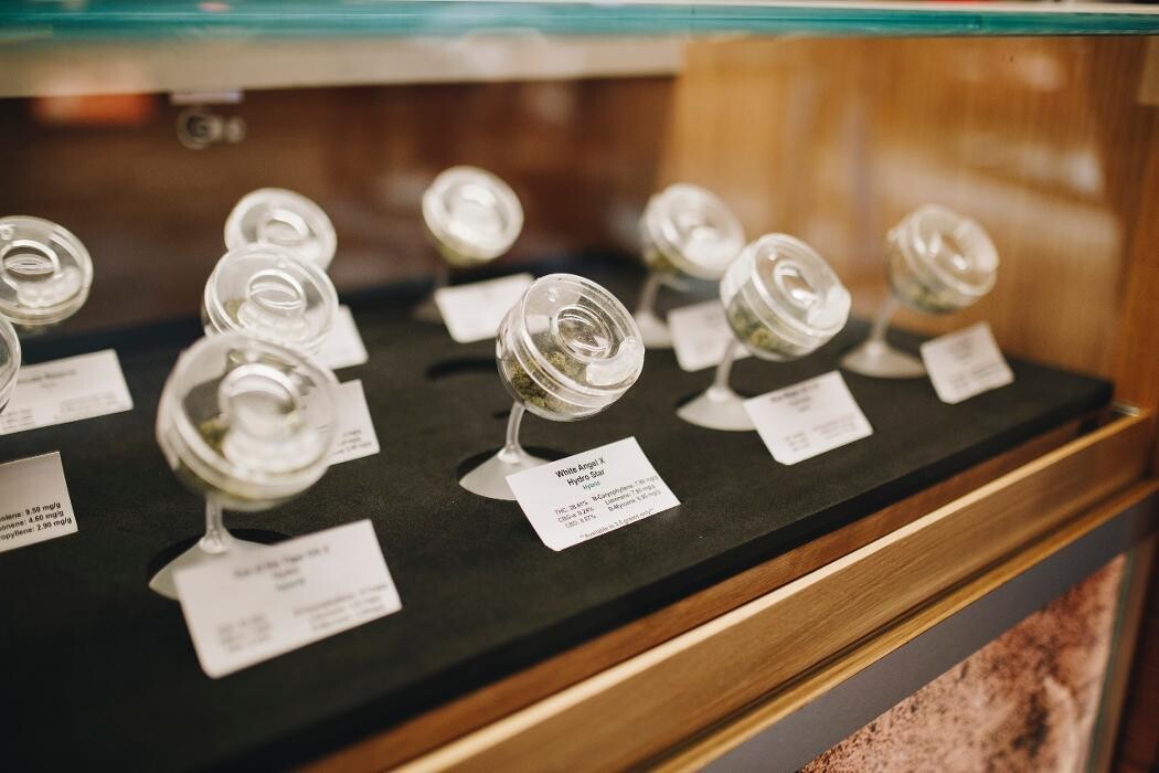 Images Planet 13 Las Vegas