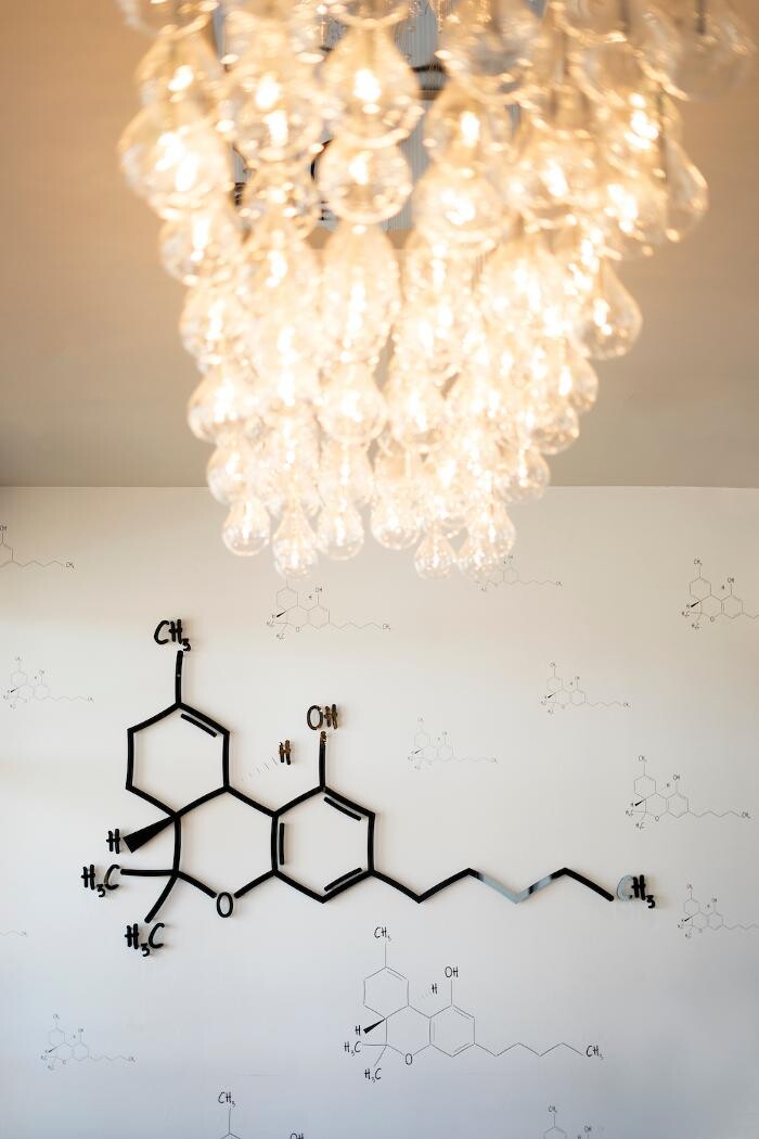 Images Planet 13 Las Vegas