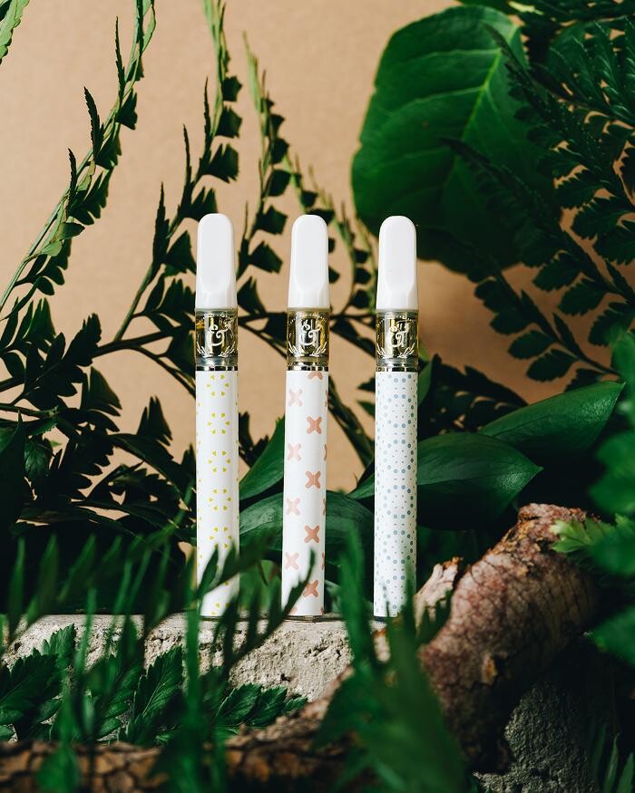 Images Planet 13 Las Vegas