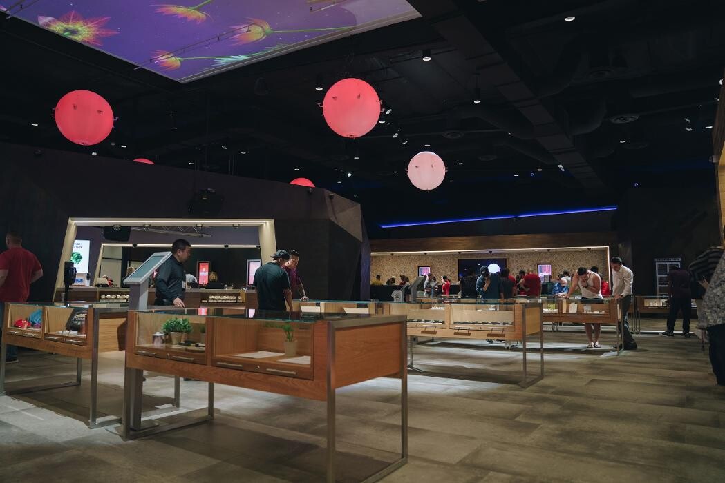 Images Planet 13 Las Vegas