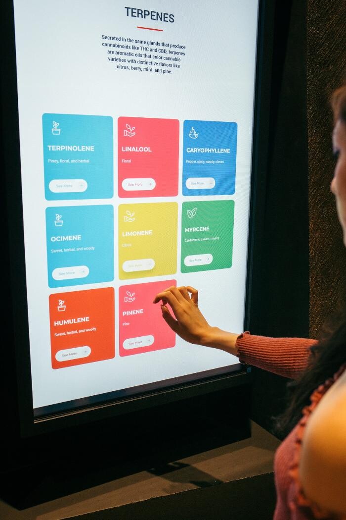 Images Planet 13 Las Vegas