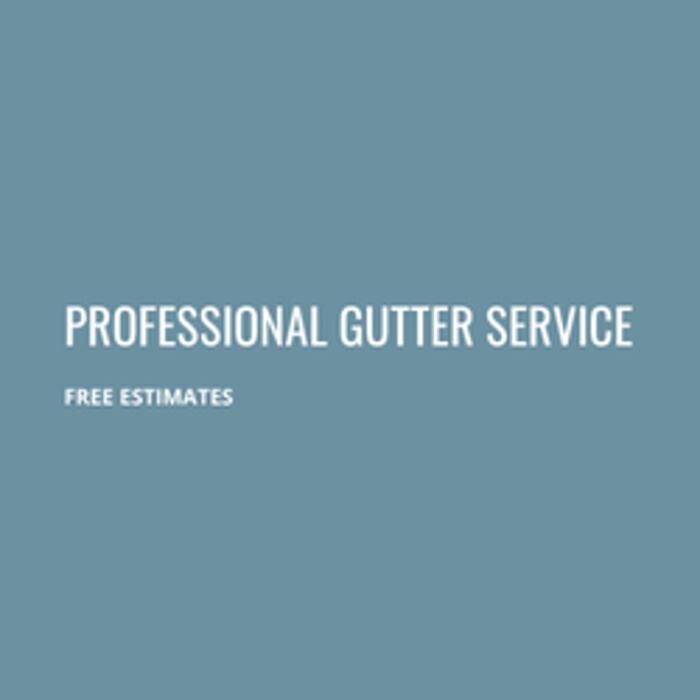 Images Professional Gutter Service