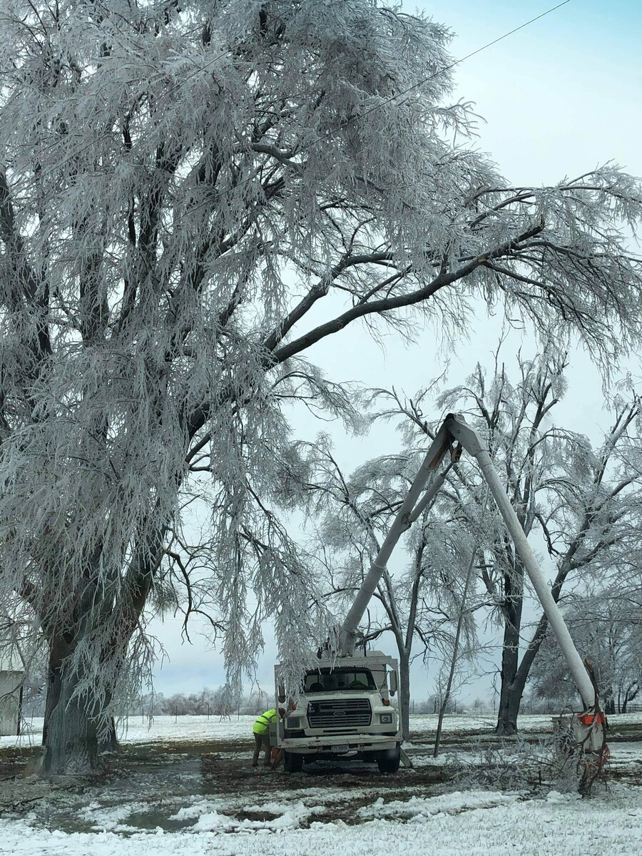 Images Hawkins Tree Service LLC