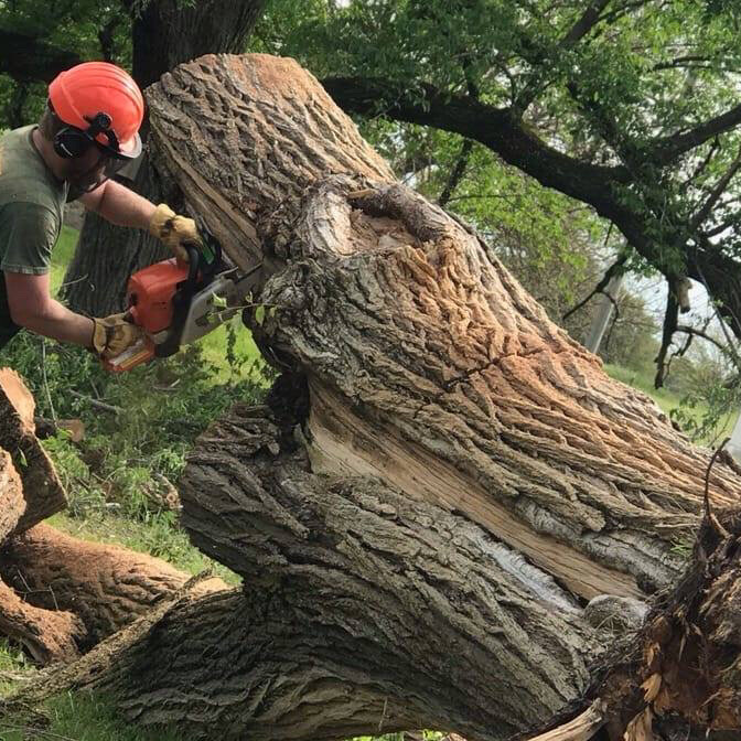 Images Hawkins Tree Service LLC