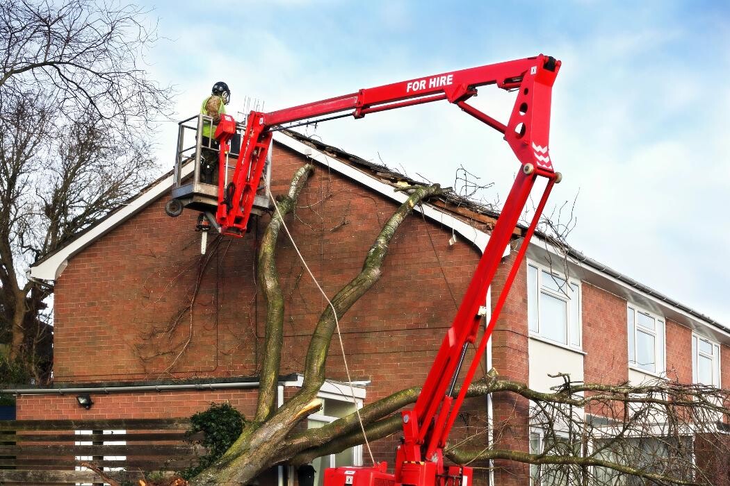 Images Adams & Sons Roofing
