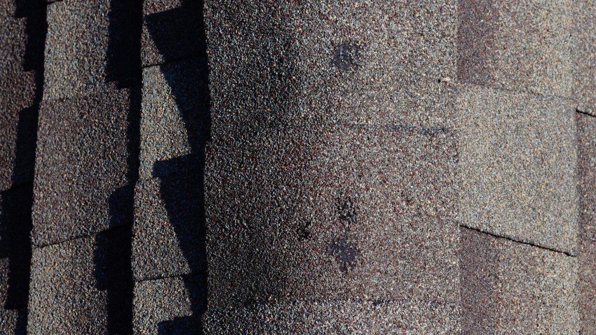 Images Adams & Sons Roofing