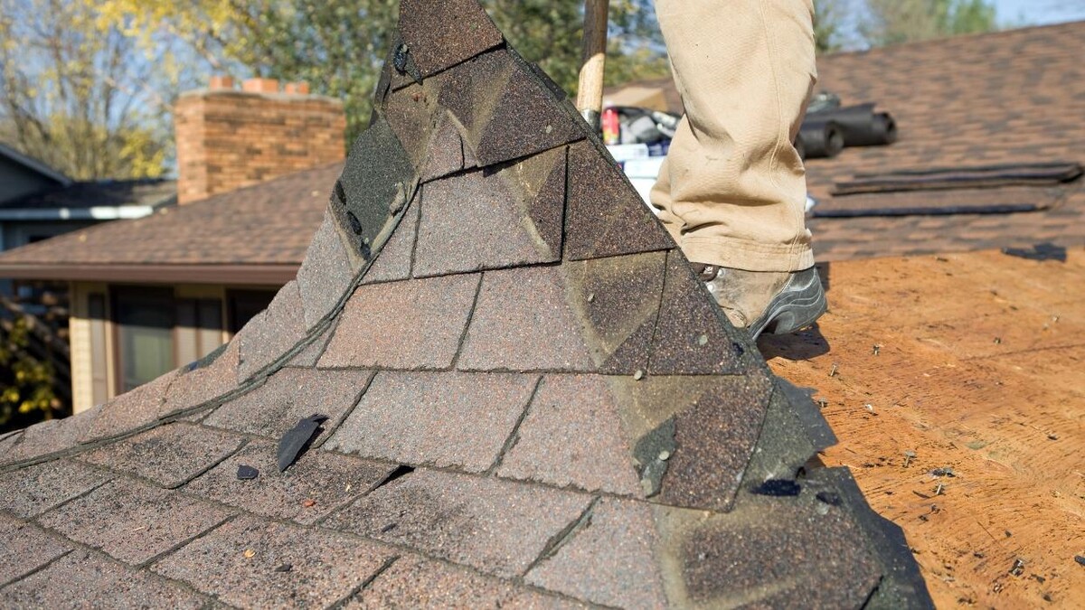 Images Adams & Sons Roofing