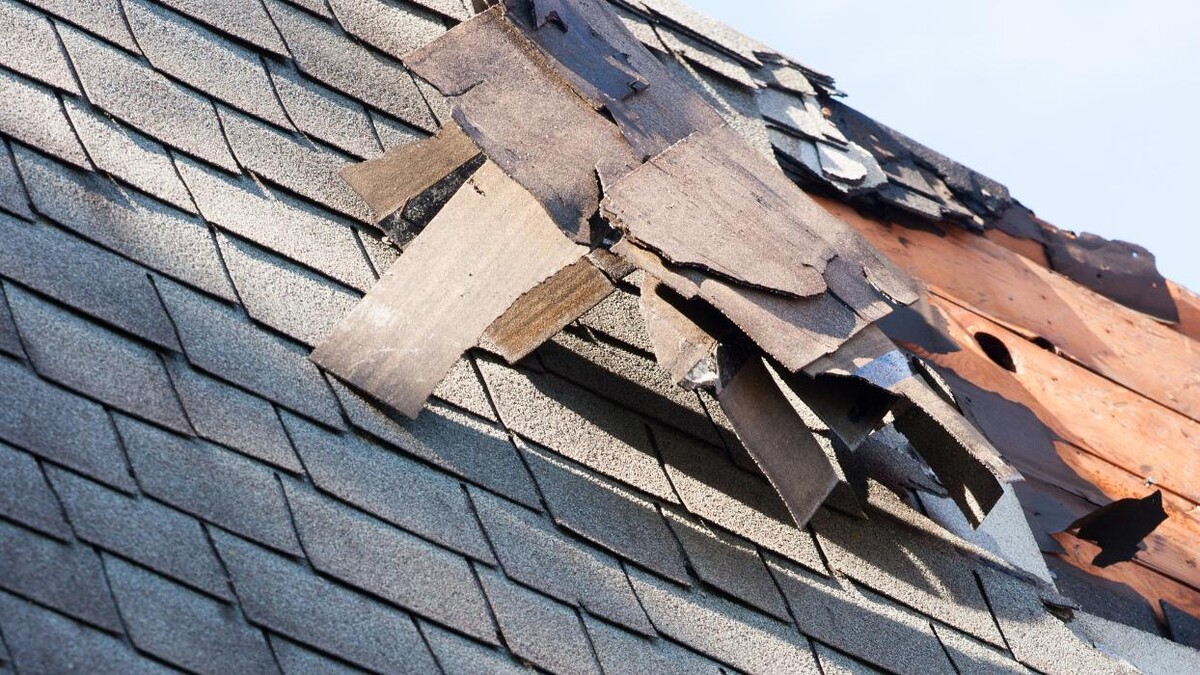 Images Adams & Sons Roofing
