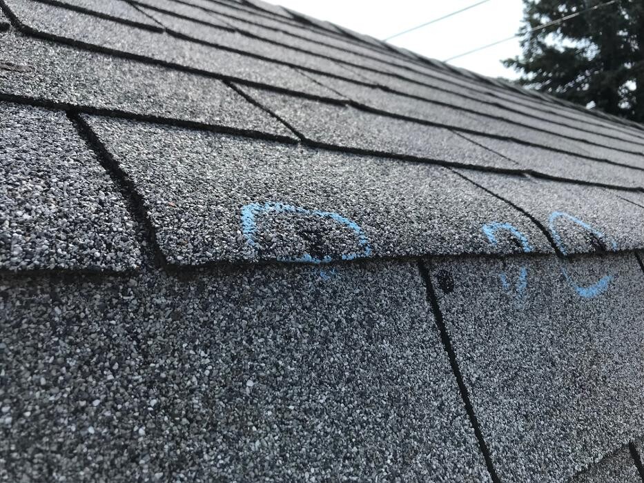 Images Adams & Sons Roofing