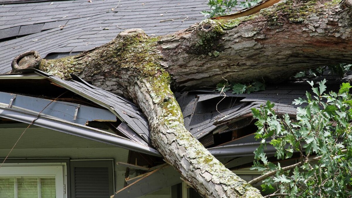 Images Adams & Sons Roofing