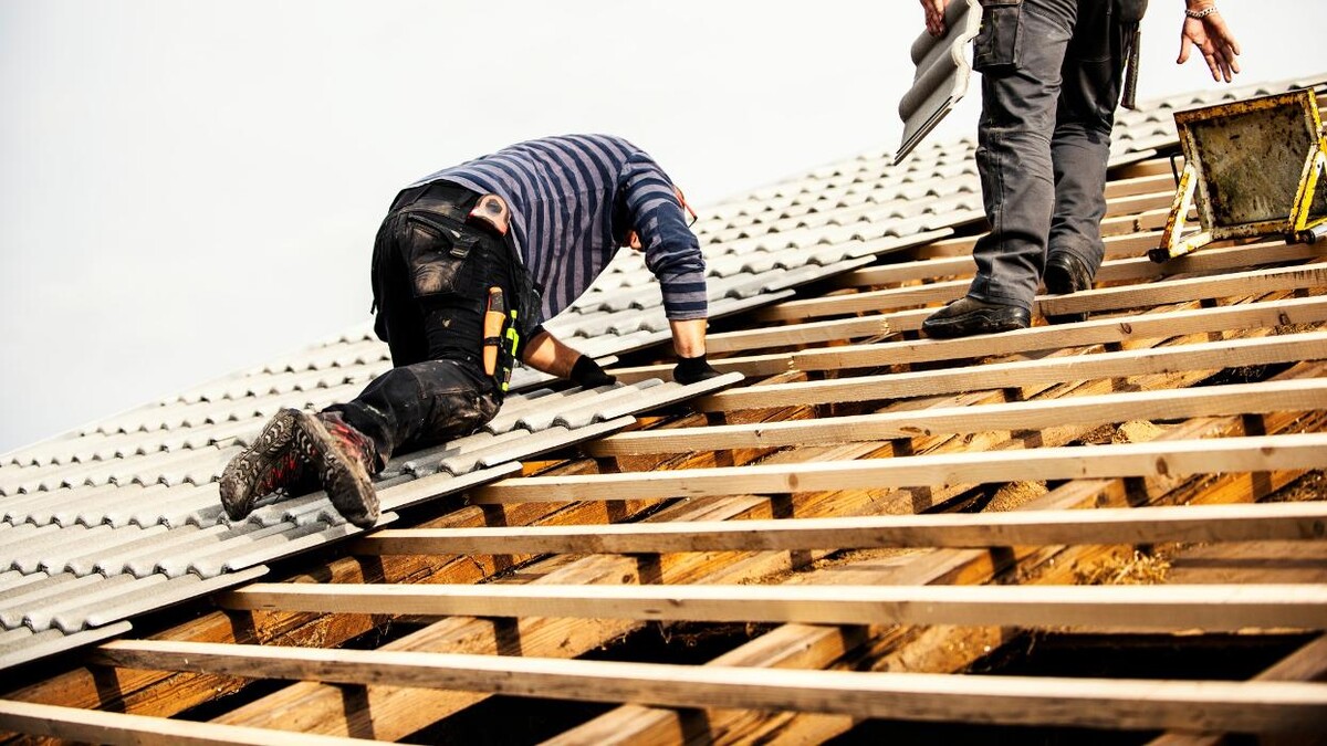 Images Adams & Sons Roofing