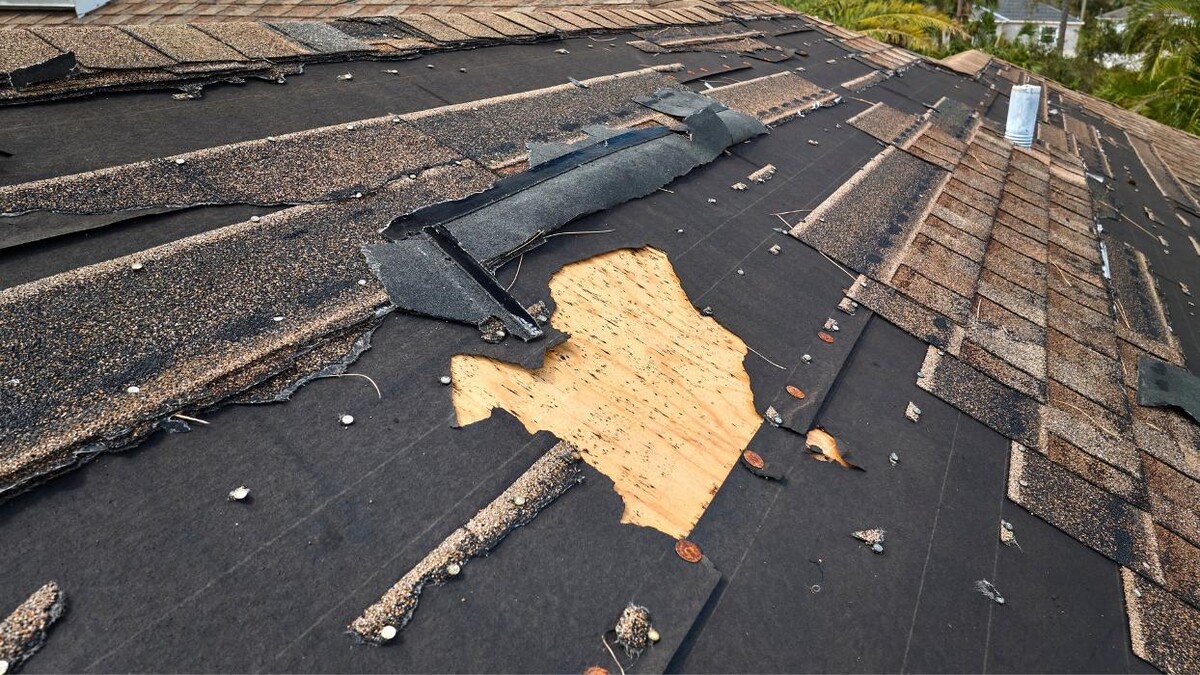 Images Adams & Sons Roofing