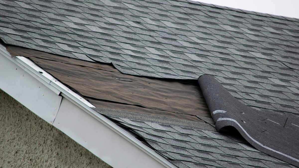 Images Adams & Sons Roofing